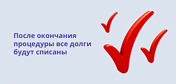Картинка Процедура банкротства физического лица плюсы и минусы